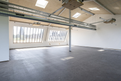 20250708_Wiesenwerke_Wuppertal_DOKU-15