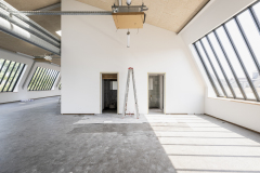 20250708_Wiesenwerke_Wuppertal_DOKU-50