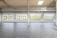 20250708_Wiesenwerke_Wuppertal_DOKU-51